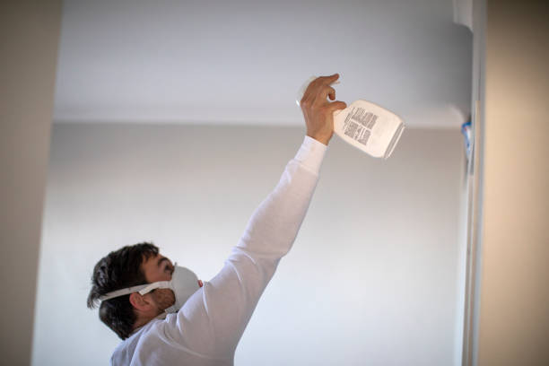 Best Residential Mold Removal  in Edgemoor, DE