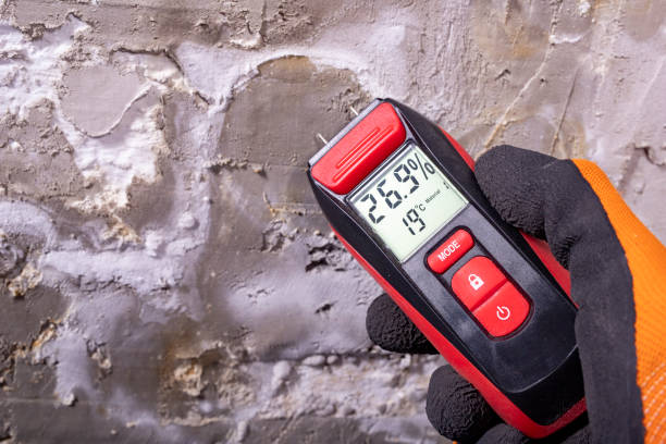 Best Crawl Space Mold Removal  in Edgemoor, DE