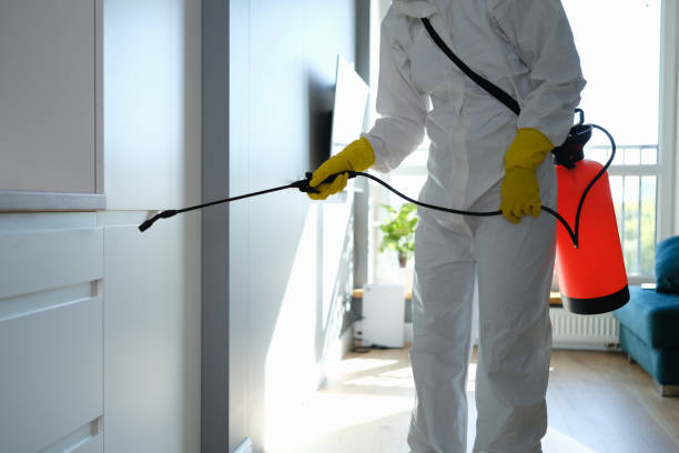 Best Attic Mold Removal  in Edgemoor, DE