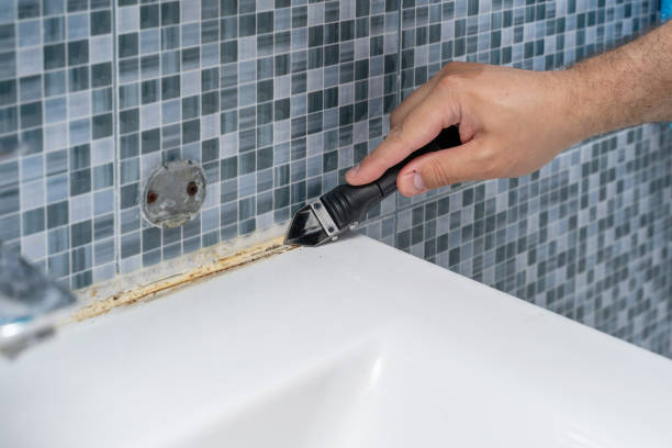 Best Mold Damage Repair  in Edgemoor, DE